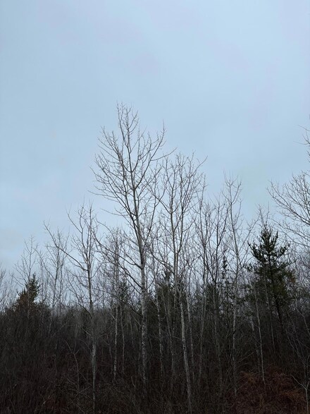ON Wood Rd Unit 4069-23, Tomahawk, WI 54487