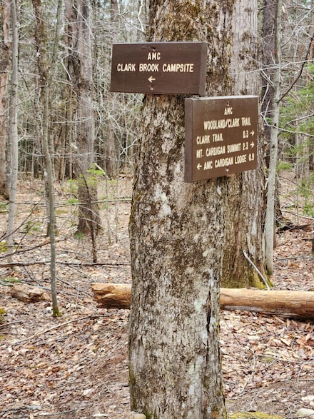 0 Clarks Woodland Trail, Alexandria, NH 03220