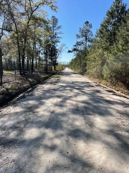 0 Halcyondale Loop, Sylvania, GA 30467
