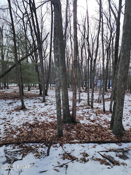 0 Pico Ln, Blooming Grove Township, PA 18464