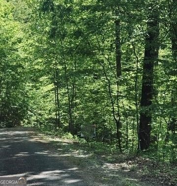 409 & 411 Barefoot Rd, Hiawassee, GA 30546