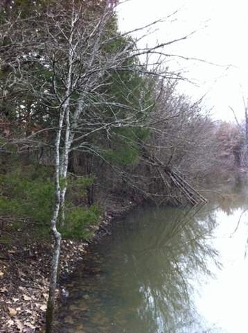 000 Mitchell Rd, Ravenden Spring, AR 72460