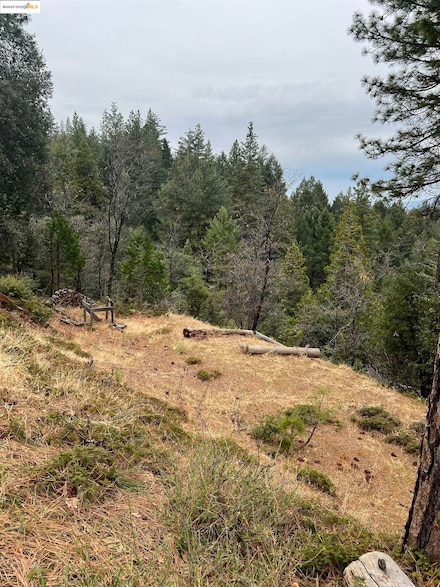 19262 Tanglewod Dr, Twain Harte, CA 95383