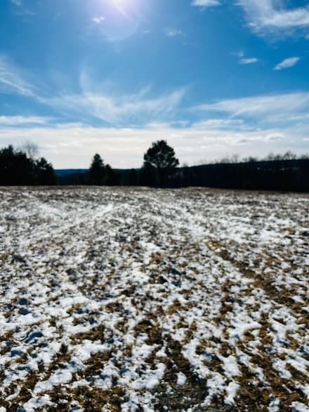 0 Grant Meadow 2 Ln, Ridgway, PA 15853