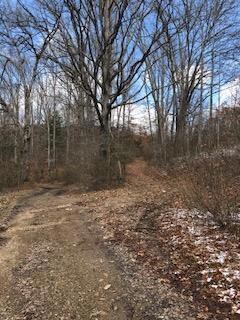 000 Tiny Ct, Glen Daniel, WV 25844