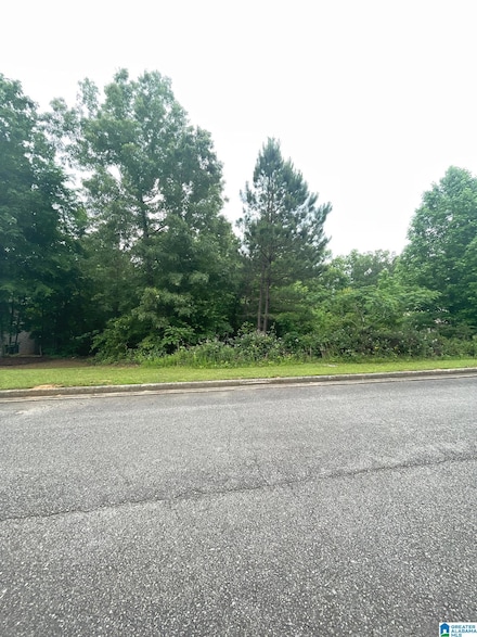 0 Cody Cir Unit 36 21385165, Springville, AL 35146