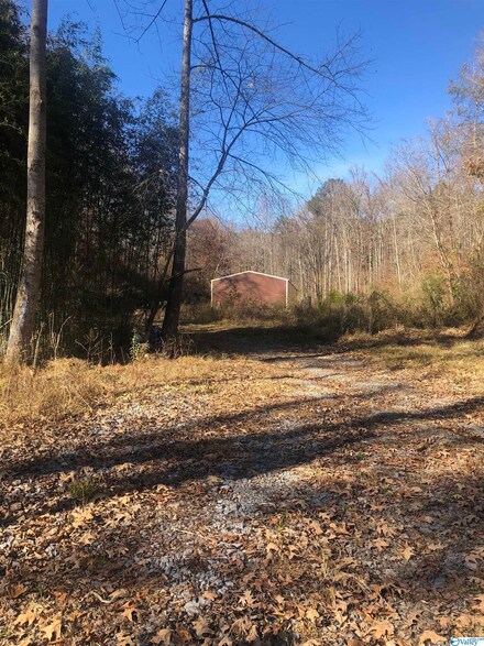 190 Mine Rd, Attalla, AL 35954