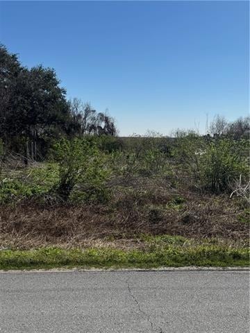 Lot Delacroix Hwy, St. Bernard, LA 70085