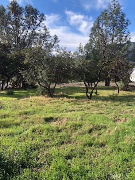 5308 Olympia Dr, Kelseyville, CA 95451