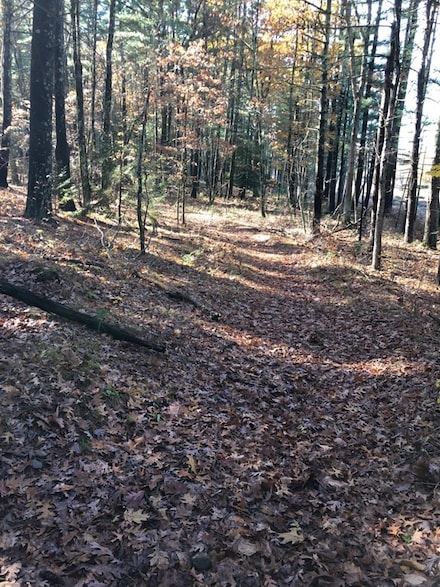 59 Leighton St, Pepperell, MA 01463