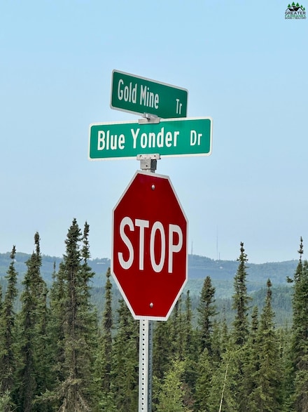 LOT 4 Blue Yonder Dr, Fairbanks, AK 99712
