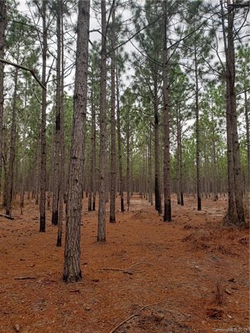 1 Sc Hwy 102 Hwy, Patrick, SC 29584