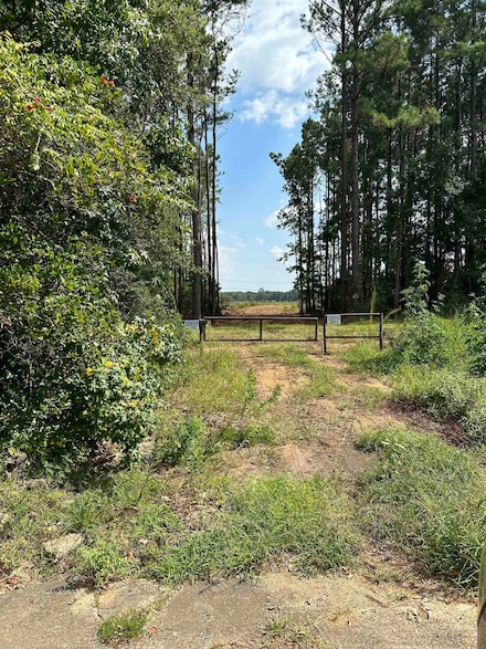 1600 Dublin Dr, Vidor, TX 77662