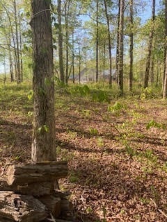 0 Hidden Highland Ct Unit RTC2749125, Mc Ewen, TN 37101