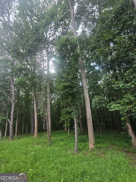 6147 Little Ridge Rd, Acworth, GA 30102