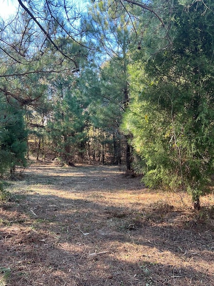 275 Northgate Rd, Georgetown, GA 39854