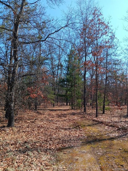 0000 Cedar Creek Rd, Wellston, MI 49689
