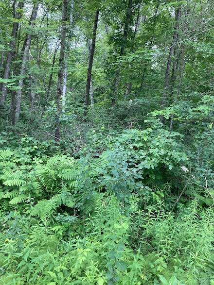 Lot 3 Summer Dr, Breezy Point, MN 56472