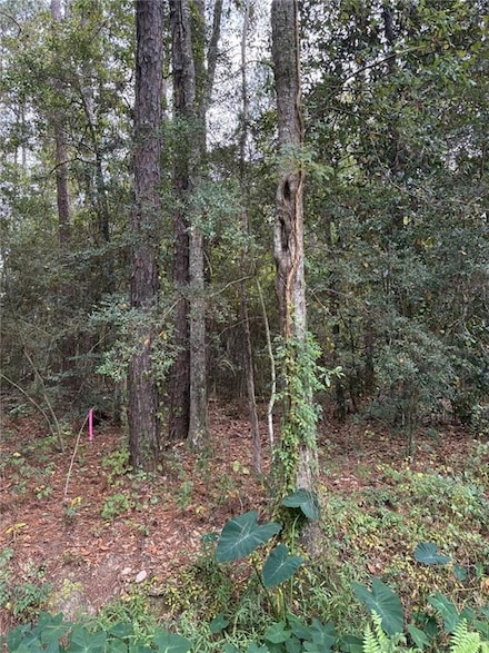 Lot 7 Firetower Rd, Mandeville, LA 70471