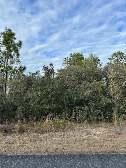 0 SW Huckleberry Ln Unit MFROM692655, Dunnellon, FL 34431