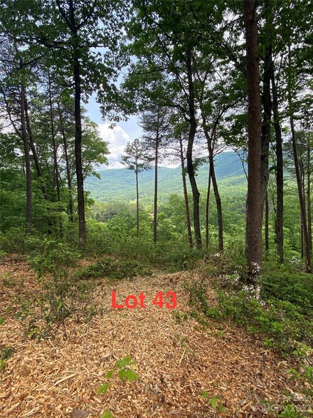 LOT 43 Deep Gap Farm Rd E, Mill Spring, NC 28756