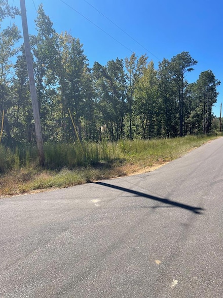 0 Beach Bluff Ln, Huntingdon, TN 38344