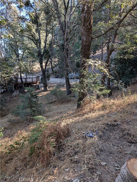 0 Scenic View Unit IV25103524, Crestline, CA 92325