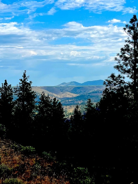 34645 Partridge Ln N, Davenport, WA 99122