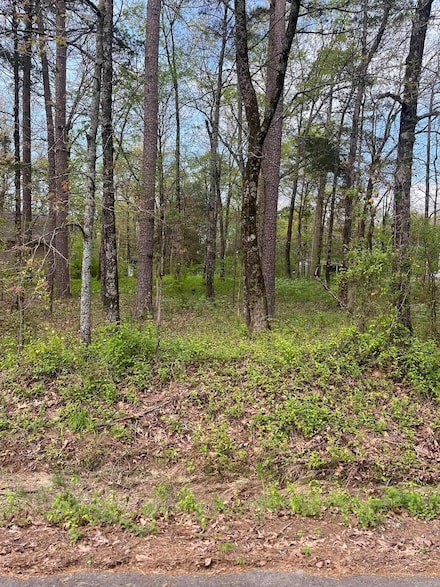 Lot #2 Lynch Dr, Clinton, AR 72031