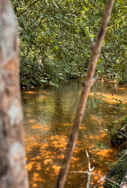 0 Smith Rd, Winfield, AL 35594