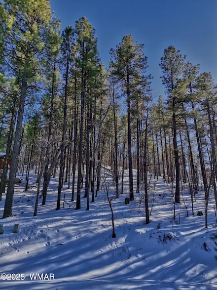 6319 Bent Oak Dr, Pinetop, AZ 85935