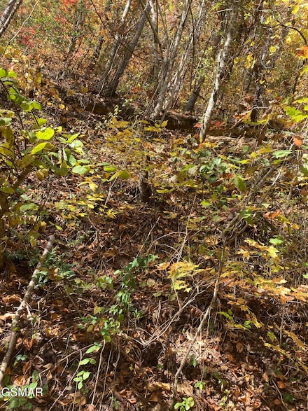 Lot 3 Sec Meadow View Rd, Sevierville, TN 37862
