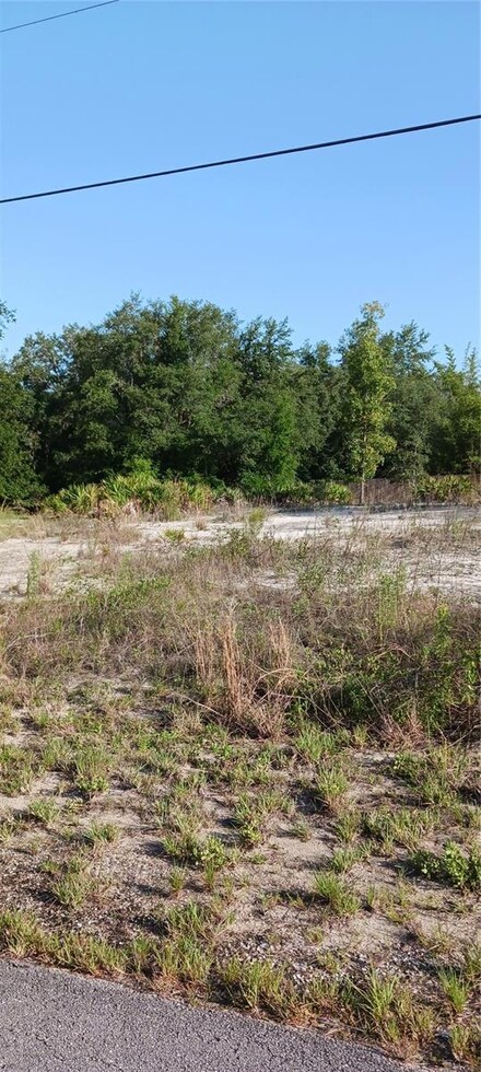 0 SW South Lakes Ct, Dunnellon, FL 34431