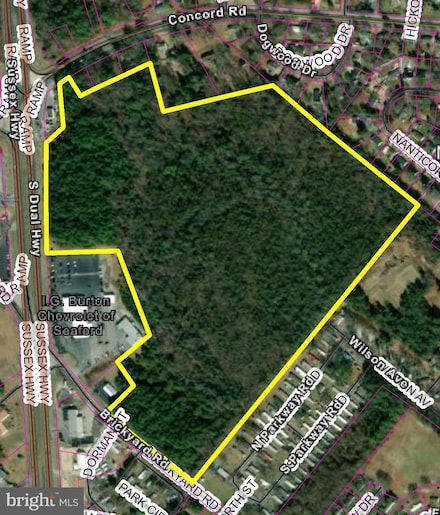 0 U S 13, Blades, DE 19973