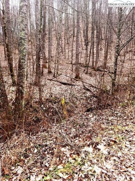 TBD Chestnut Hill Rd, Crumpler, NC 28617