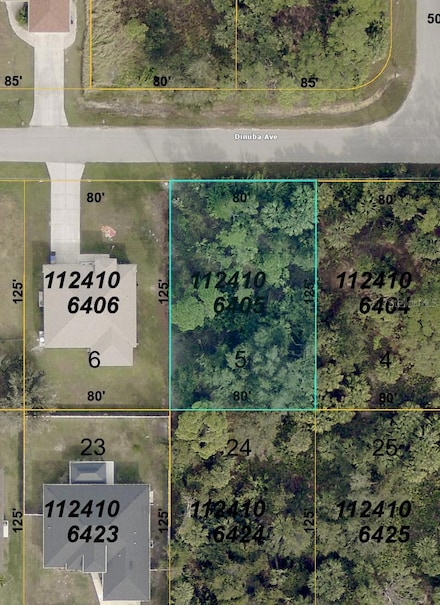 TBD Dinuba Ave, North Port, FL 34288