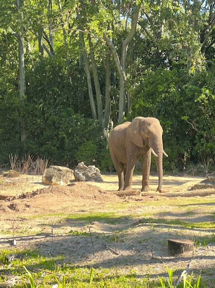 4000 Mississippi 35, Holcomb, MS 38940