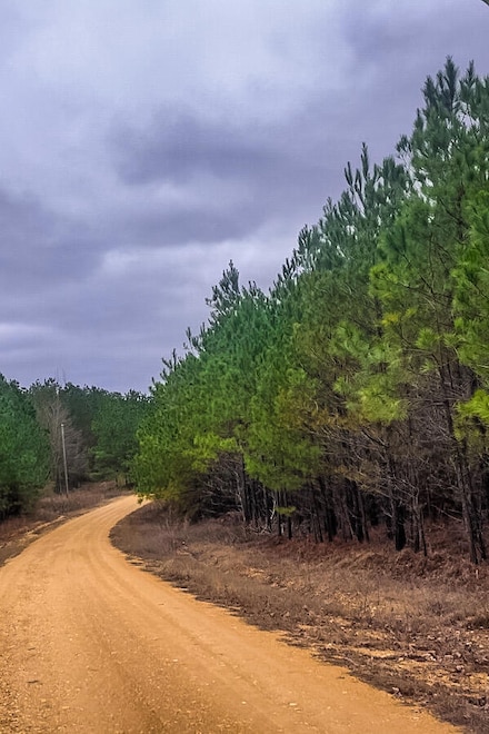 0 Belk Bottom Rd, Detroit, AL 35552