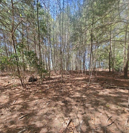 Lot 23 Queens Way, Montross, VA 22520