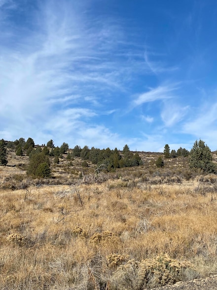 NKA Curry St, Chiloquin, OR 97639