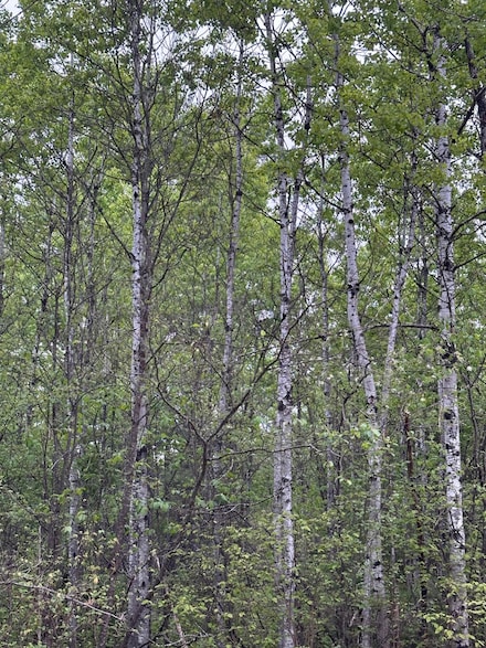 ON Kelly Dam Rd Unit Lot 8, Tomahawk, WI 54487