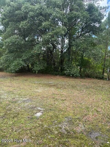 0 Us 17 Hwy Unit 100515012, Hampstead, NC 28443