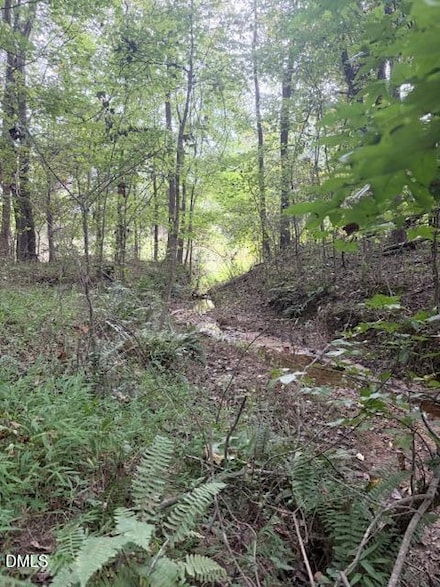 0 W Greensboro Chapel Hill Rd Unit 10126305, Liberty, NC 27298