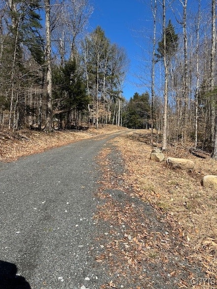 0 Brightside Rd, Raquette Lake, NY 13436