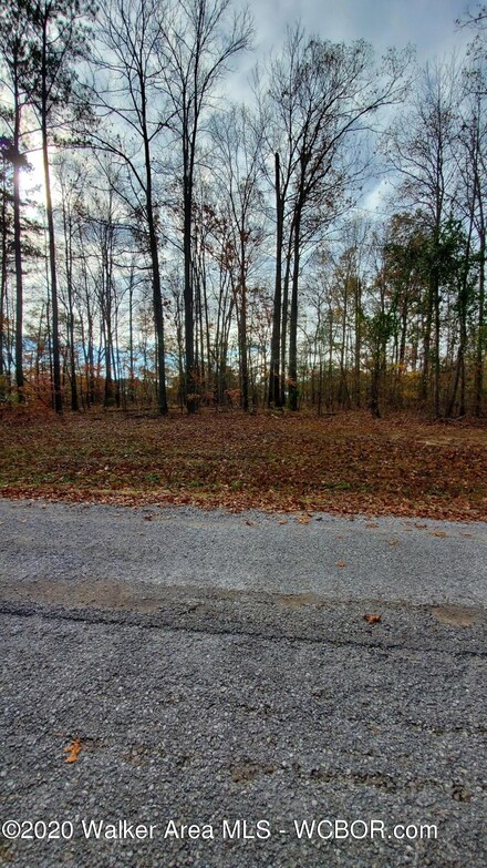 LOT#5 Randolph Cove, Jasper, AL 35503