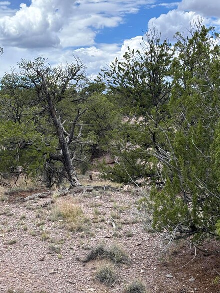 0 Lot 79 Abbe Springs Unit 1069524, Magdalena, NM 87825