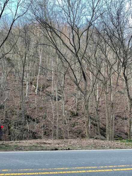 TBD Hayters Gap Rd, Abingdon, VA 24210
