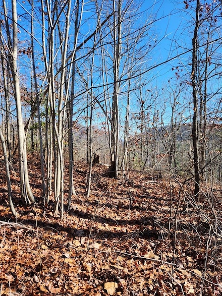 0 Burning Ember Trail, Murphy, NC 28906