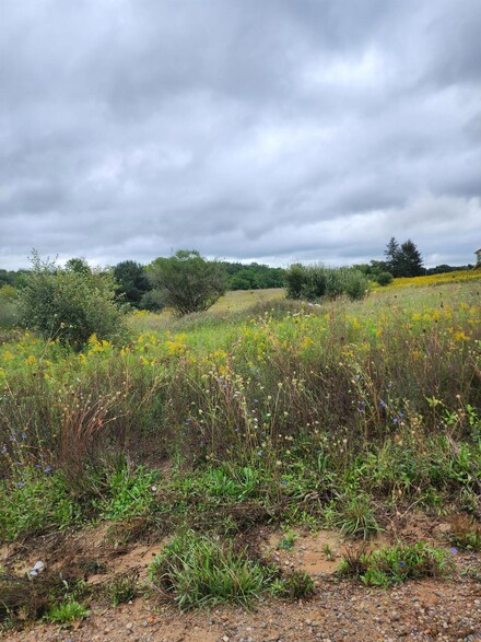 1418 Olmstead Rd, Muir, MI 48860