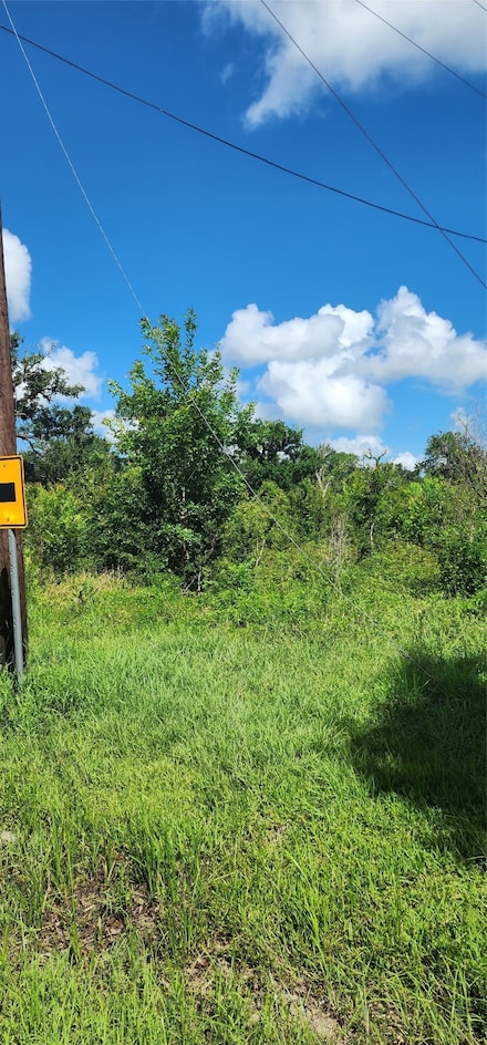0 County Road 506 Unit 90697040, Brazoria, TX 77422